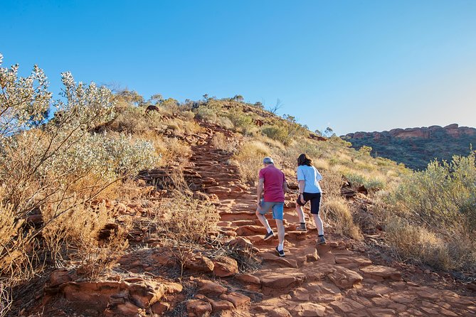 Kings Canyon Day Trip from Ayers Rock (Uluru) - Is $247.45 good value?