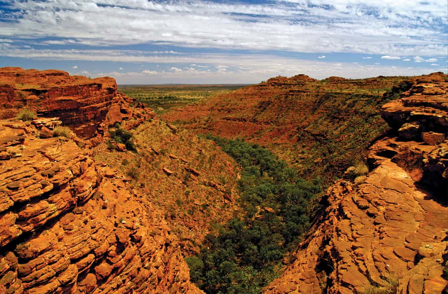 Kings Canyon: Full-Day Tour from Ayers Rock Resort - The long red-road journey from Ayers Rock Resort