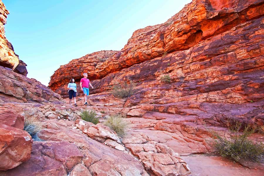 Kings Canyon: Full-Day Tour from Ayers Rock Resort - Choosing the Rim Walk or the creek bed