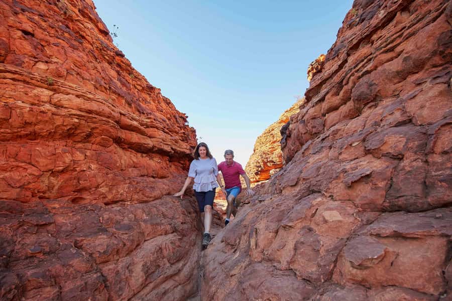Kings Canyon: Full-Day Tour from Ayers Rock Resort - What the $244 price really covers
