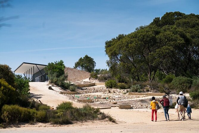 Koala Walking Tour in Kangaroo Island - Why the koala sighting matters here