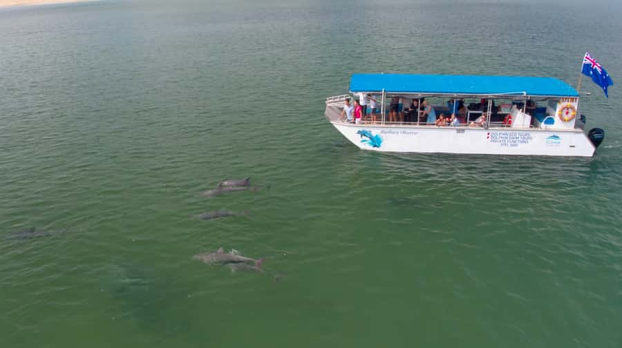 Koombana Bay: Dolphin Eco Cruise - The 90-minute cruise through Koombana Bay