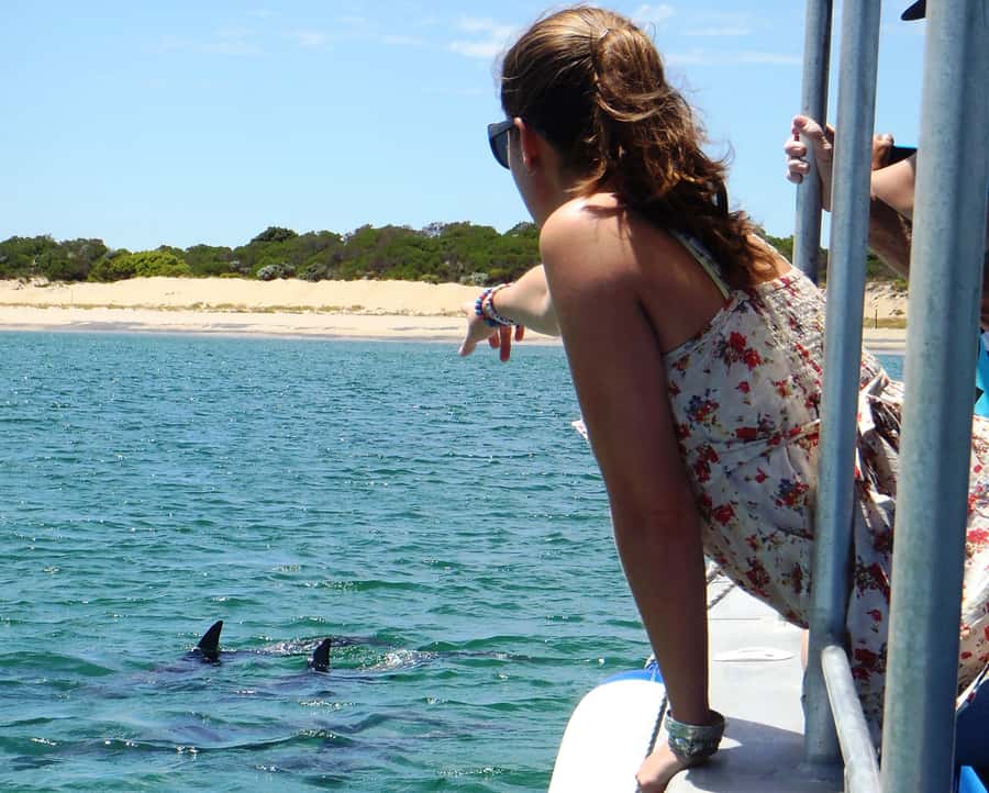 Koombana Bay: Dolphin Eco Cruise - Weather, clothing, and comfort