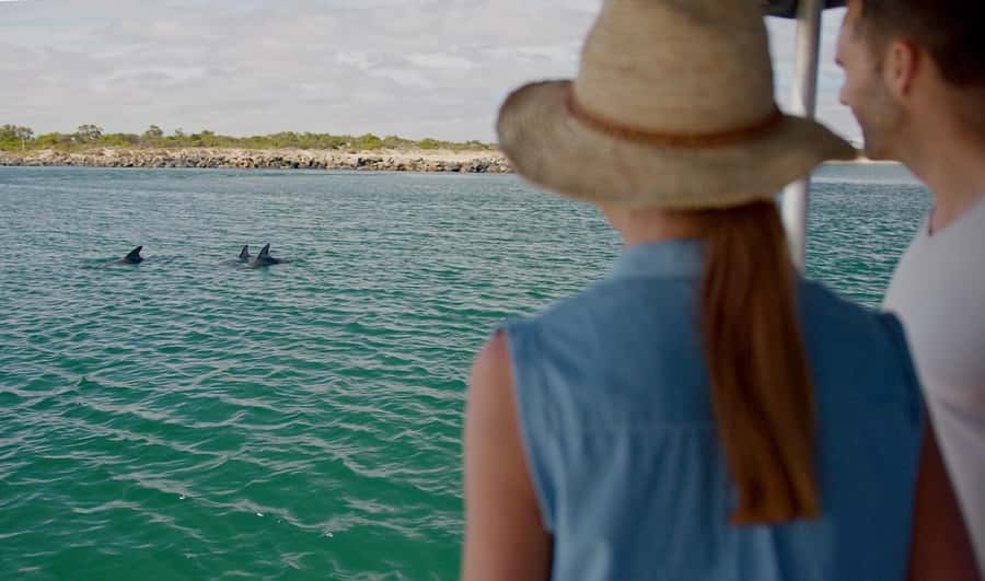 Koombana Bay: Dolphin Eco Cruise - Who will enjoy this cruise most?