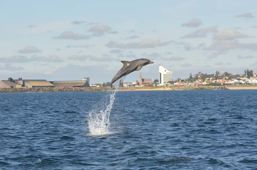 Koombana Bay: Dolphin Eco Cruise - Arriving at the Dolphin Discovery Centre