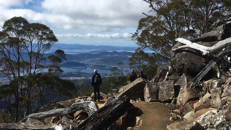 Kunanyi & Mt Wellington Explorer Bus: One-Way Bus Pass - Key points to know before you book