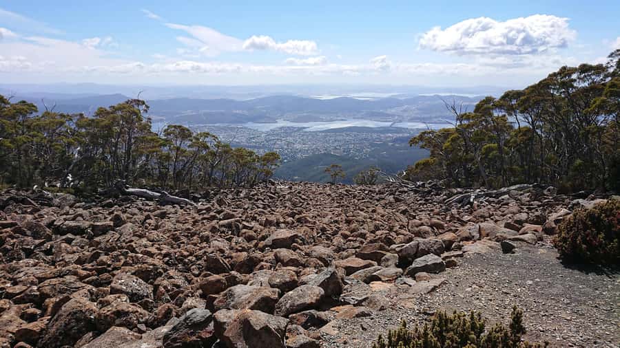 Kunanyi & Mt Wellington Explorer Bus: One-Way Bus Pass - Should you book the kunanyi/Mt Wellington one-way pass?