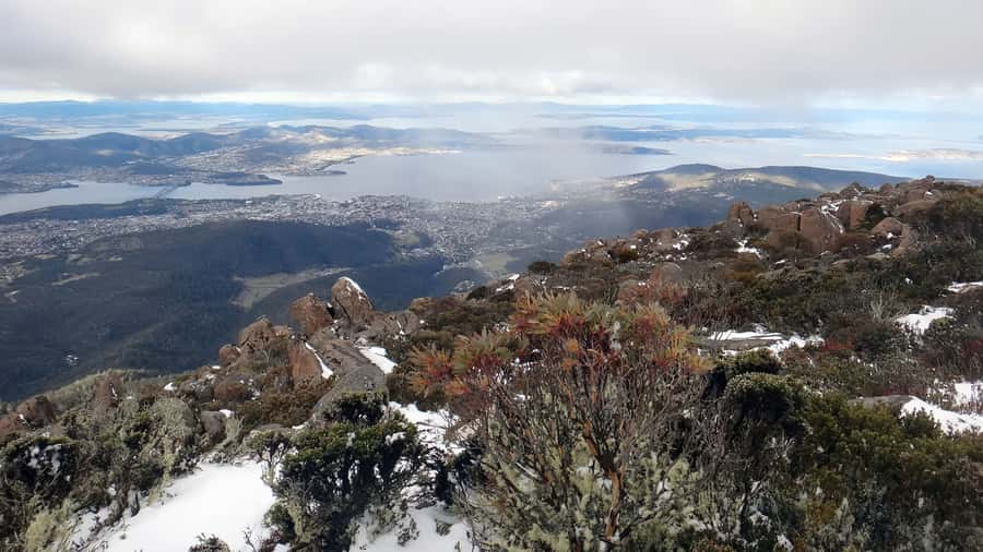 Kunanyi & Mt Wellington Explorer Bus: One-Way Bus Pass - How the $24 fare measures up