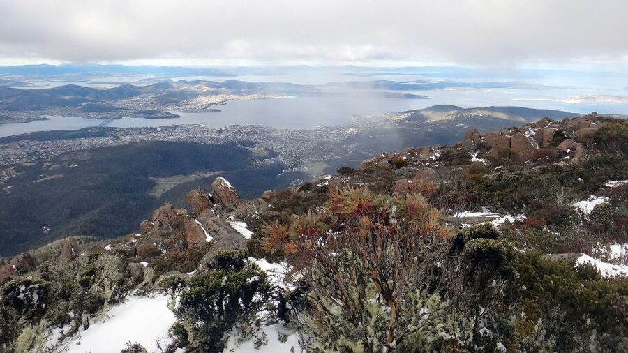 Kunanyi & Mt Wellington Explorer Bus: One-Way Bus Pass - Who will enjoy this pass most