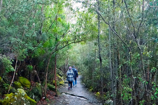 kunanyi/Mt Wellington Explorer Bus - One Way Tour - Key points to know before booking
