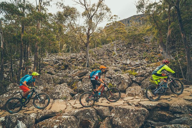 kunanyi/Mt Wellington Explorer Bus - One Way Tour - The climb to the 1,270-metre summit