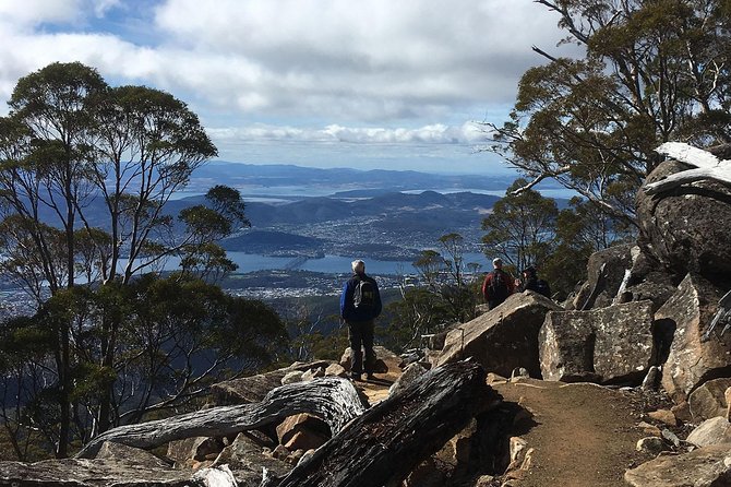 kunanyi/Mt Wellington Explorer Bus - One Way Tour - The drivers are part of the experience
