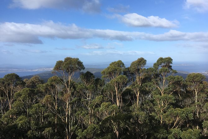 kunanyi/Mt Wellington Explorer Bus - One Way Tour - Timing, meeting point, and what to carry