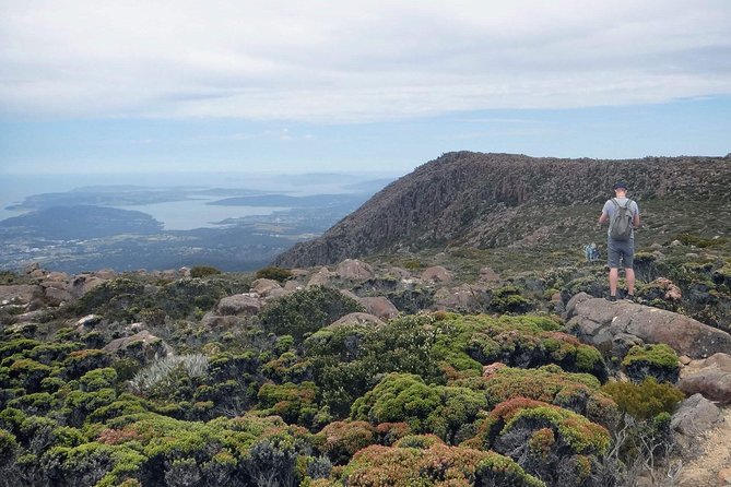 kunanyi/Mt Wellington Explorer Bus- Return Tour (2.5 hours) - From Brooke Street Pier to the summit