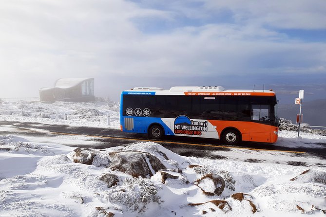 kunanyi/Mt Wellington Explorer Bus- Return Tour (2.5 hours) - The Springs and its walking tracks