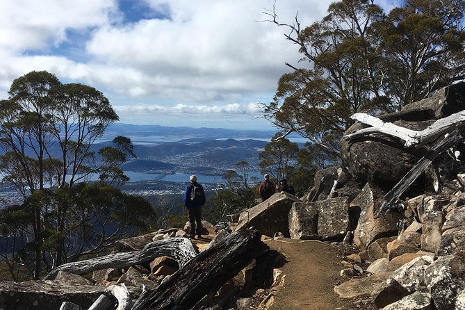 kunanyi/Mt Wellington Explorer Bus- Return Tour (2.5 hours) - The Chalet and the Organ Pipes Walk