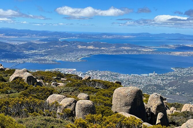 kunanyi/Mt Wellington Explorer Bus- Return Tour (2.5 hours) - Why the driver can make or break the ride