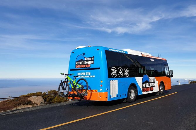 kunanyi/Mt Wellington Explorer Bus- Return Tour (2.5 hours) - Choosing between the direct return and hop-on, hop-off