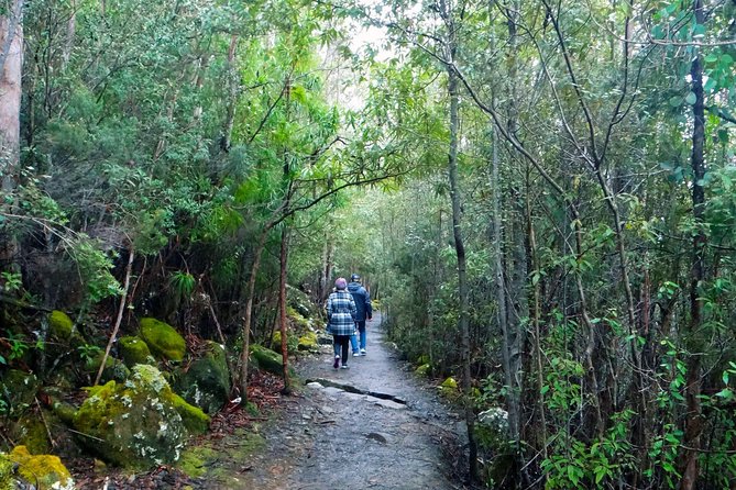kunanyi/Mt Wellington Explorer Bus- Return Tour (2.5 hours) - Weather is part of the experience