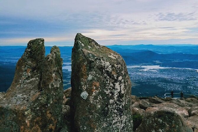 kunanyi/Mt Wellington Tour and MONA Admission - Two Hobart icons in one long day