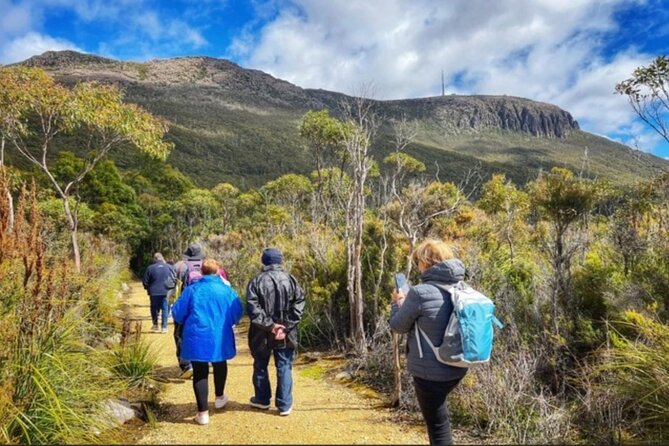 kunanyi/Mt Wellington Ultimate Experience Tour from Hobart - Guides, driving, and the quality of the commentary