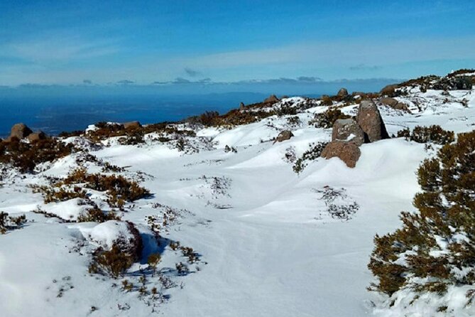 kunanyi/Mt Wellington Ultimate Experience Tour from Hobart - Who will enjoy this tour most?