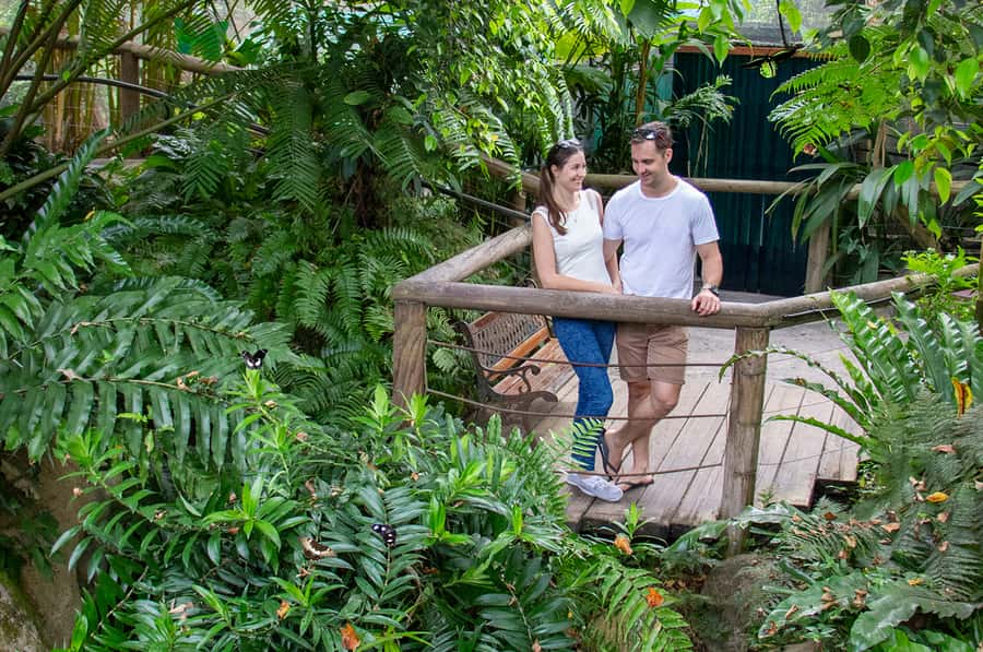 Kuranda: Australian Butterfly Sanctuary - Who will enjoy this experience most