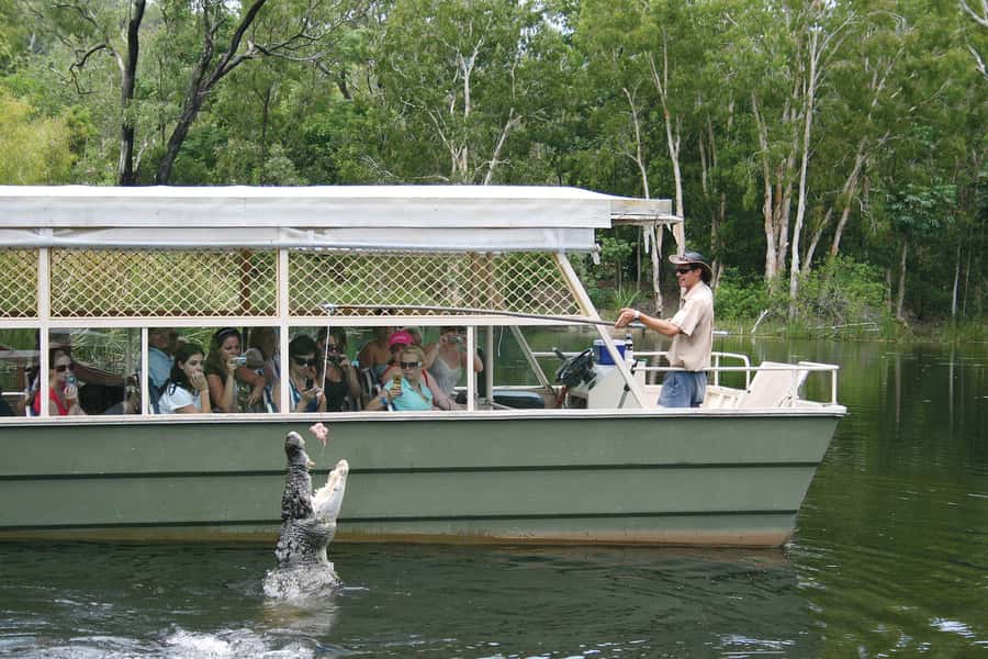 Kuranda & Hartley's Crocodile Adventures - One hour in Kuranda is enough for a taste