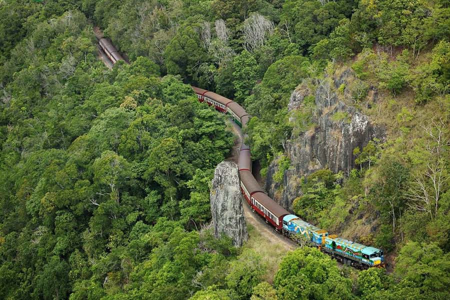 Kuranda & Hartley's Crocodile Adventures - Skyrail offers a different view of the rainforest