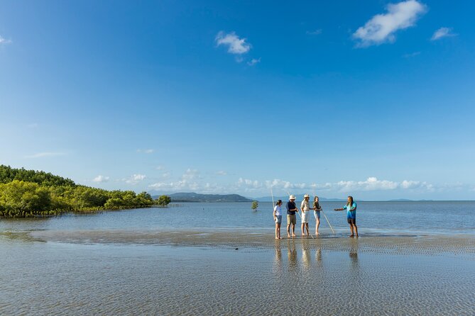 Kuranda Highlights including Rainforestation Aboriginal Culture and Wildlife R1B - Time in Kuranda village