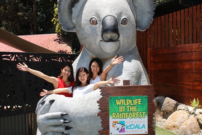 Kuranda Koala Gardens and Birdworld Admission Tickets - Nocturnal Wonders and Australia’s less familiar animals