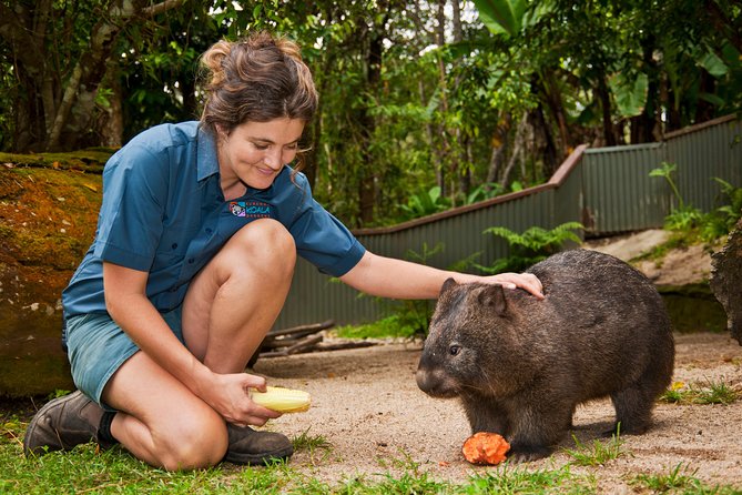 Kuranda Koala Gardens General Entry Ticket - Koala Photos and Animal Encounters Cost Extra