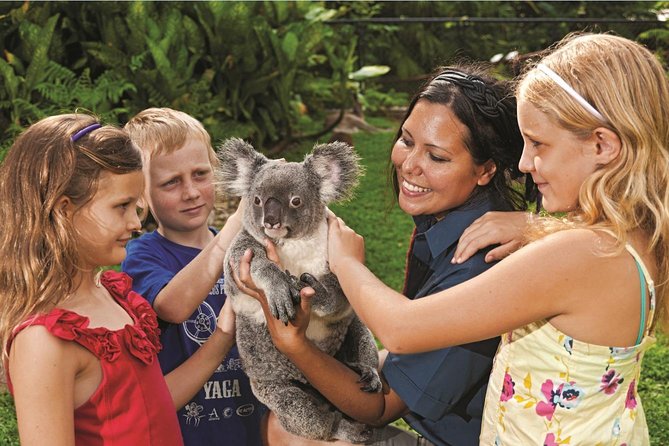 Kuranda Koala Gardens General Entry Ticket - Animal Welfare and Enclosures