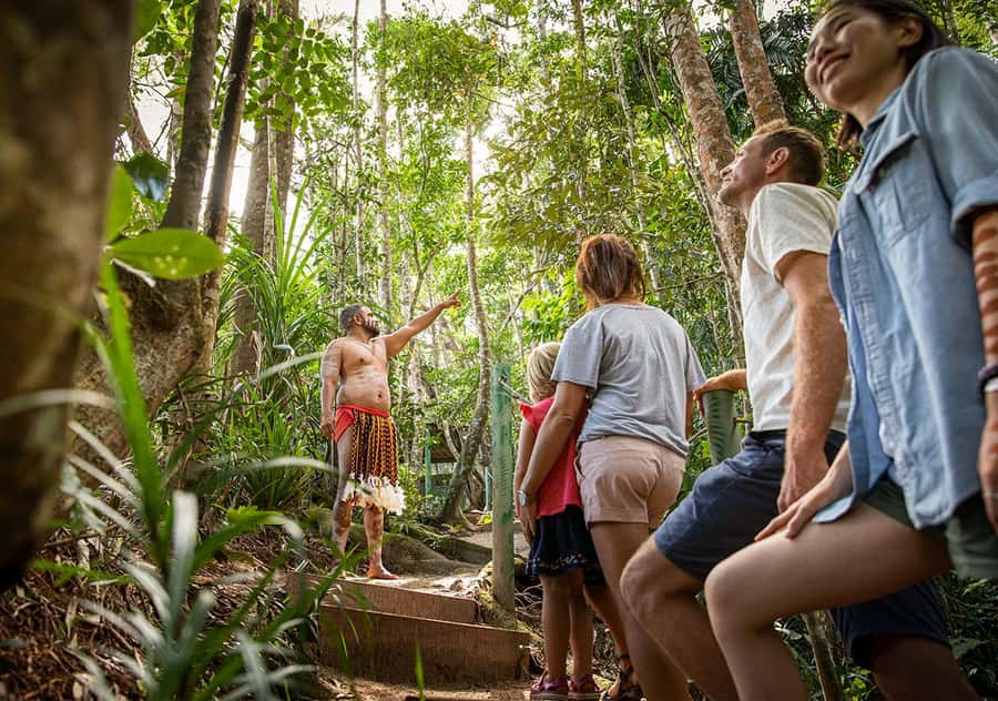 Kuranda Pamagirri Aboriginal Premium Full-Day Tour - A Big Day From Cairns to Kuranda