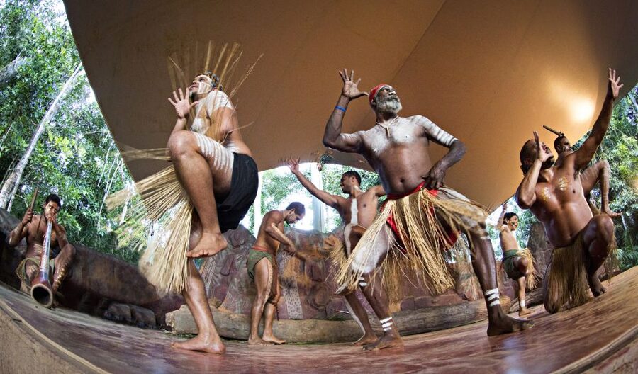Kuranda Pamagirri Aboriginal Premium Full-Day Tour - Pamagirri Walkabout and Rainforest Knowledge