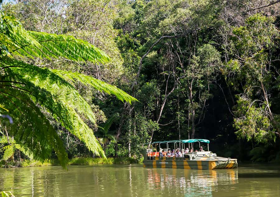 Kuranda Pamagirri Aboriginal Premium Full-Day Tour - Riding the World War II Army Duck