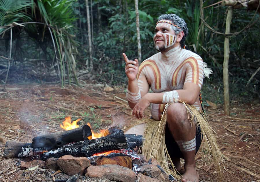 Kuranda Pamagirri Aboriginal Premium Full-Day Tour - Koalas, Dingoes, Snakes, and a Cassowary
