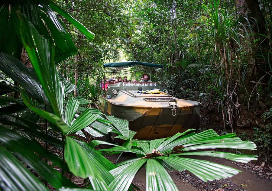 Kuranda: Rainforestation Nature Park - Pamagirri traditions take center stage