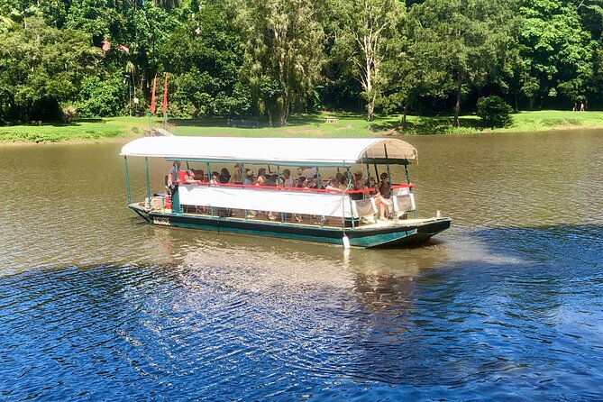 Kuranda Riverboat Sightseeing Cruise - A peaceful view of Kuranda’s rainforest