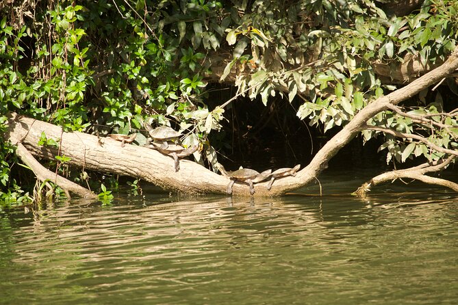 Kuranda Riverboat Sightseeing Cruise - Who will enjoy this river cruise most