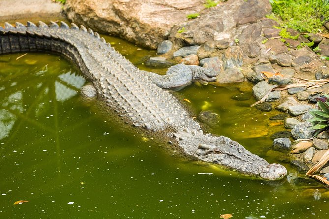 Kuranda Scenic Railway Day Trip from Cairns - Choosing a wildlife add-on