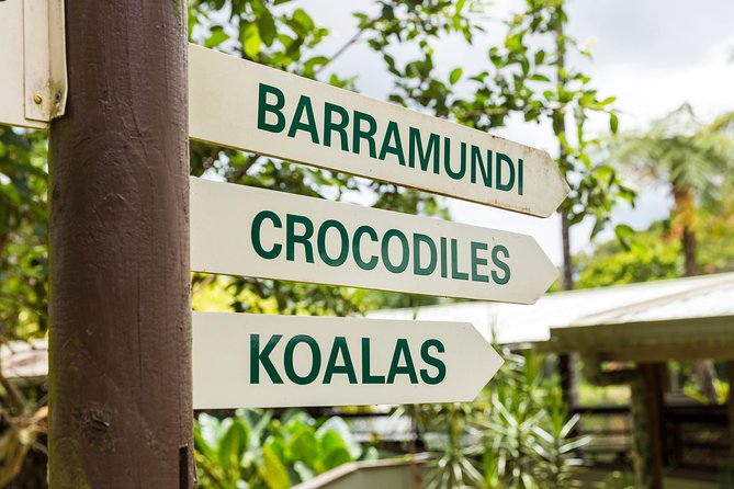 Kuranda Scenic Railway Day Trip from Cairns - Timing, comfort, and practical details