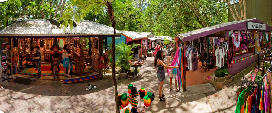 Kuranda, Skyrail & Gold Class Train from Cairns - Key points to know before booking