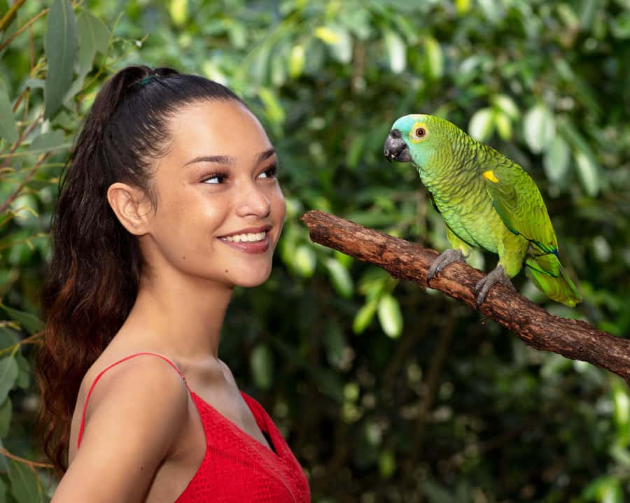 Kuranda Wildlife Experience: Koalas, Birds & Butterflies - What the $43 price really covers