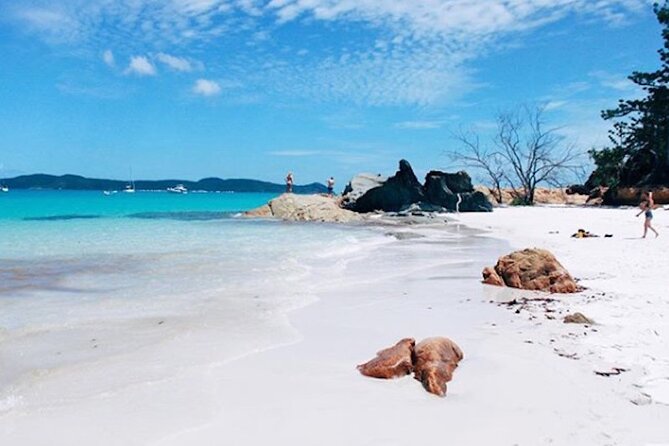 Lady Enid Sailing and Snorkeling Day Trip including Whitehaven Beach - Lunch, scones, fruit, and sparkling wine
