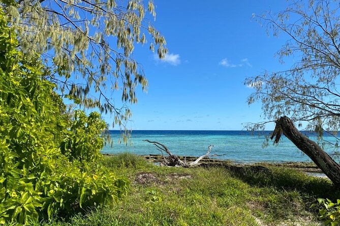 Lady Musgrave Day Trip from Bundaberg Including Snorkeling - A crew-led day with a large-capacity feel