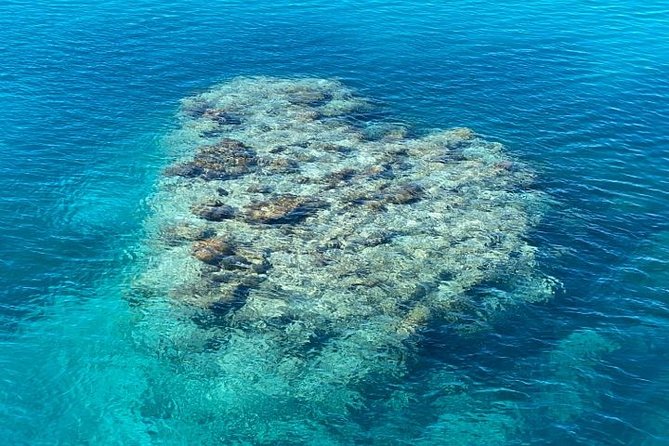 Lady Musgrave Day Trip from Bundaberg Including Snorkeling - Practical details that affect your decision
