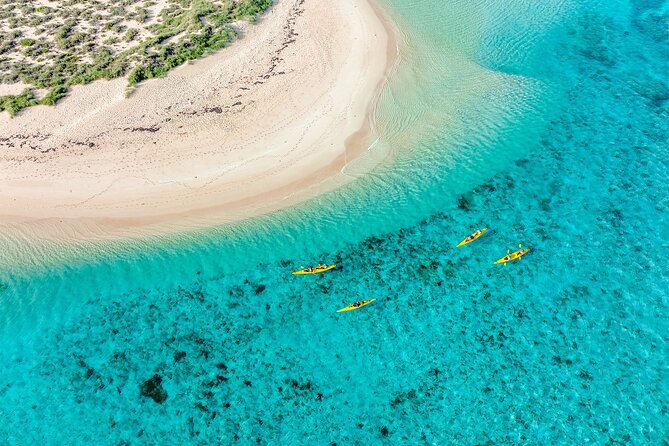 Lagoon Explorer - Ningaloo Reef Full-Day Kayaking and Snorkeling Adventure - Why kayaking gives you a different Ningaloo day