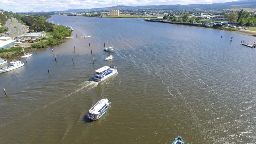 Launceston: 2.5-Hour Afternoon Discovery Cruise - Starting at Launceston’s riverfront