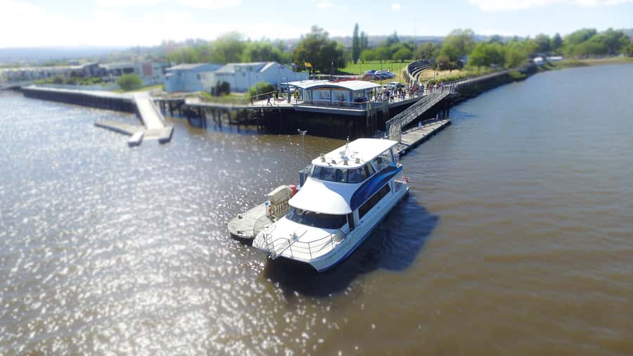 Launceston: 2.5-Hour Afternoon Discovery Cruise - From Royal Park to Tamar Island